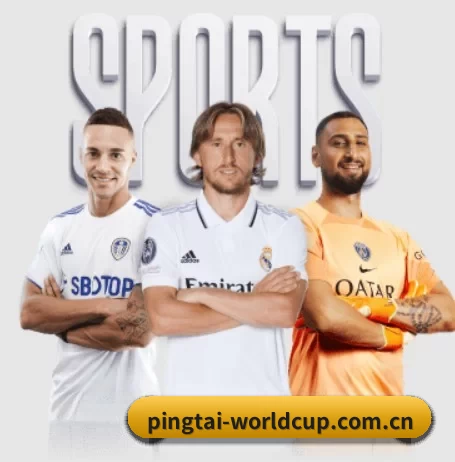 pingtai-worldcup.com.cn的方向